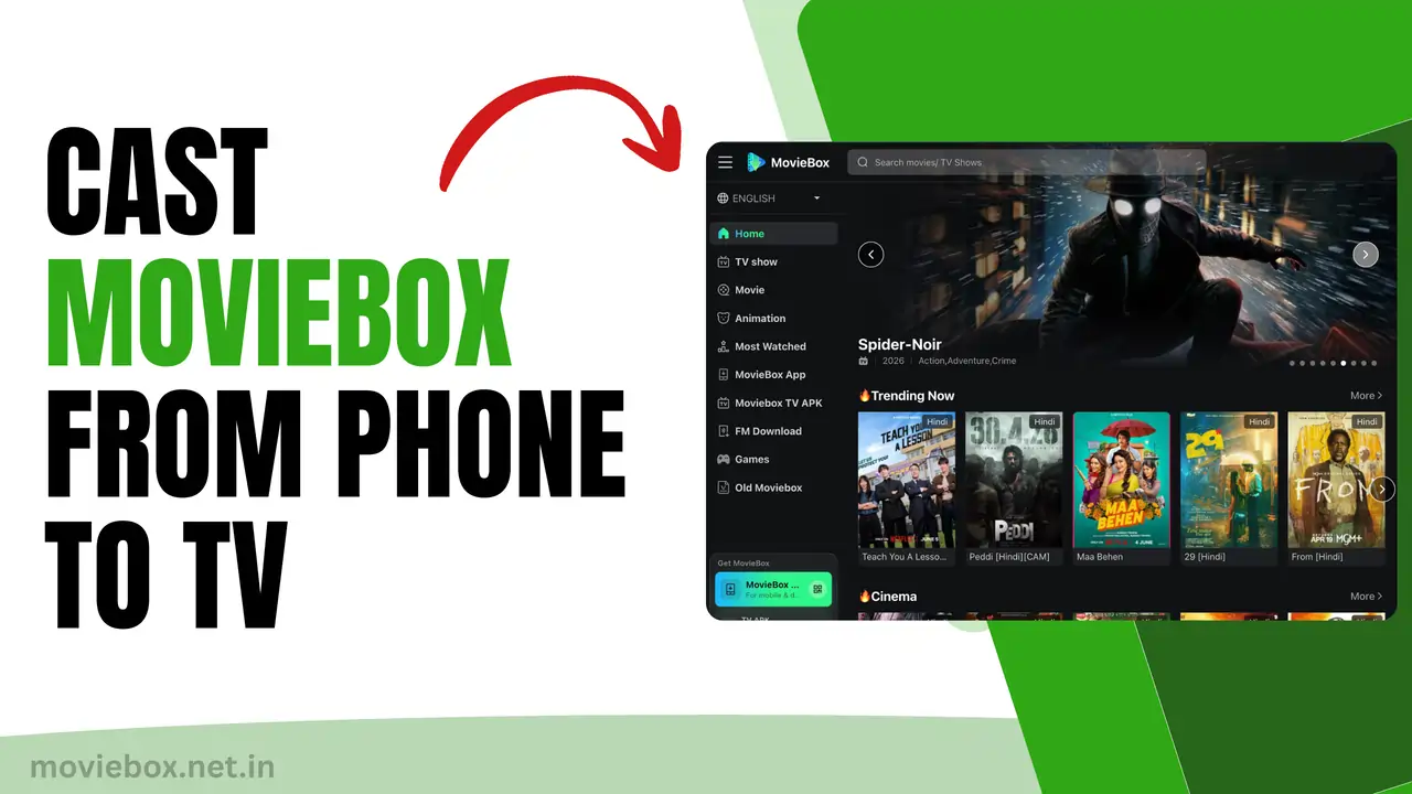 MovieBox APK (Official V3.2) Download For Android Free 2026 21 How to Cast MovieBox From Phone to TV